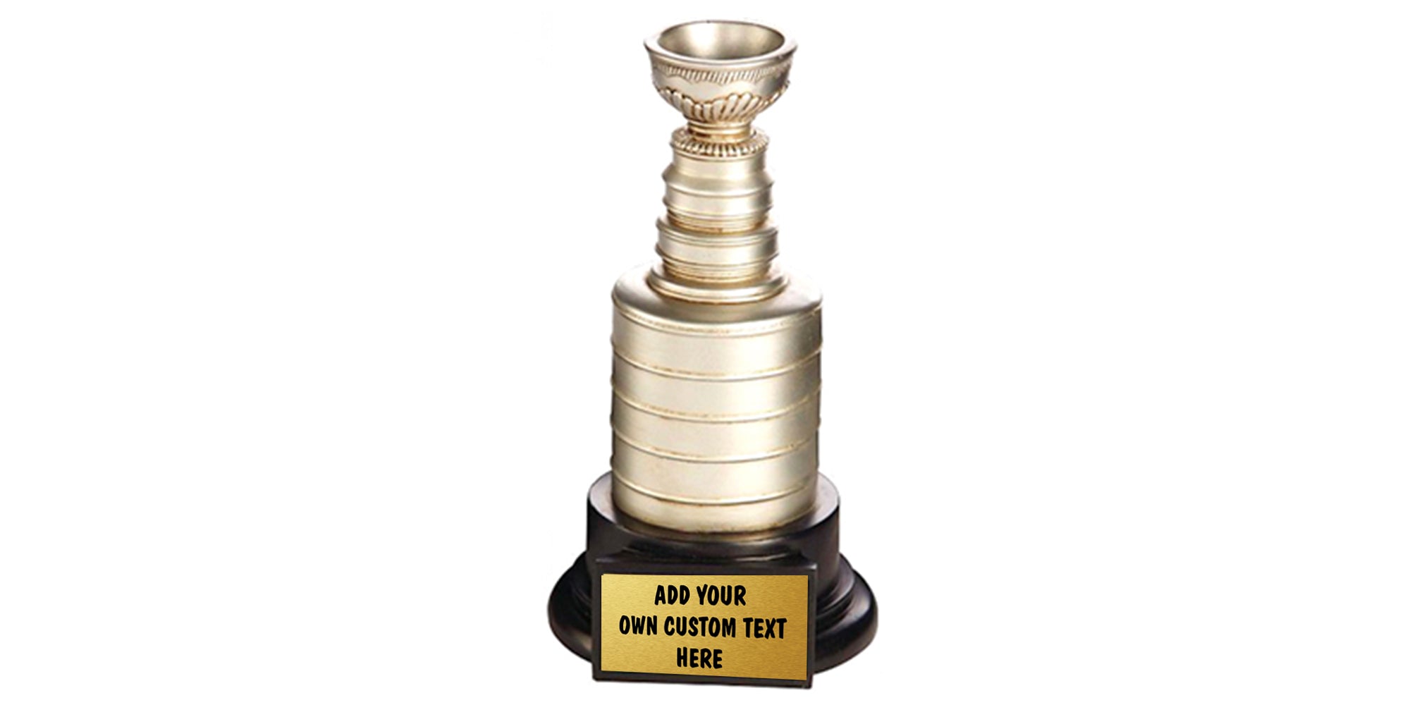  The Sports Vault NHL 14-inch Stanley Cup Champions Trophy  Replica for Dad - Best Gifts for Men, Hockey Fans, Players, Coaches &  Collectors : Sports & Outdoors